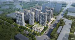 <b>从城面积占</b>